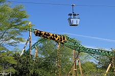 Cheetah Hunt