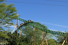 Cheetah Hunt