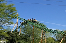 Cheetah Hunt