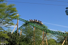 Cheetah Hunt