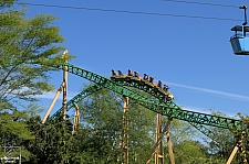 Cheetah Hunt