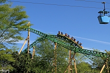 Cheetah Hunt