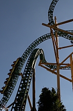 Cheetah Hunt