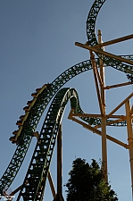 Cheetah Hunt