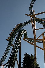 Cheetah Hunt