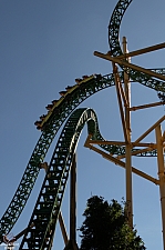 Cheetah Hunt