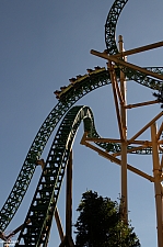 Cheetah Hunt