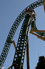 Cheetah Hunt