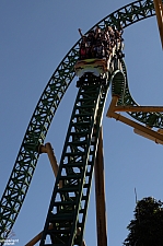 Cheetah Hunt