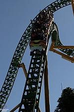 Cheetah Hunt