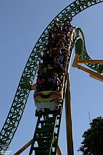 Cheetah Hunt