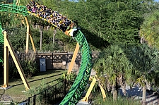 Cheetah Hunt