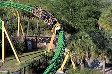 Cheetah Hunt