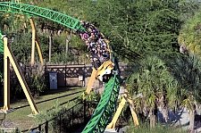 Cheetah Hunt