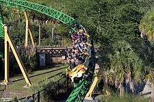 Cheetah Hunt