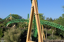 Cheetah Hunt