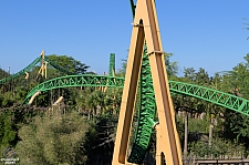 Cheetah Hunt