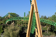 Cheetah Hunt