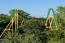 Cheetah Hunt