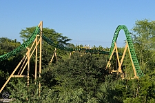 Cheetah Hunt