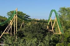 Cheetah Hunt