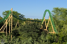 Cheetah Hunt