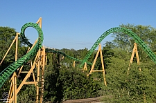 Cheetah Hunt