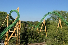 Cheetah Hunt