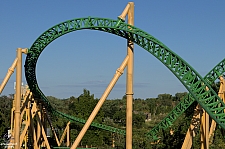 Cheetah Hunt