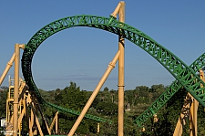 Cheetah Hunt