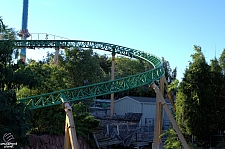 Cheetah Hunt