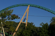 Cheetah Hunt