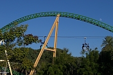 Cheetah Hunt