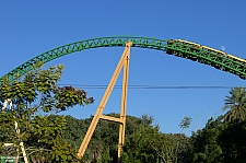 Cheetah Hunt