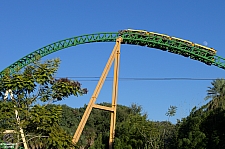 Cheetah Hunt