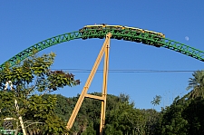 Cheetah Hunt