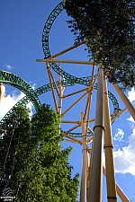 Cheetah Hunt