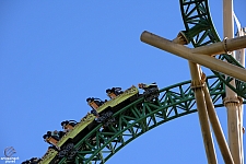 Cheetah Hunt