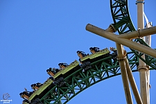 Cheetah Hunt