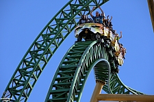 Cheetah Hunt