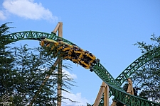 Cheetah Hunt