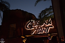 Cheetah Hunt