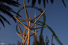 Cheetah Hunt