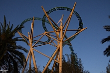 Cheetah Hunt