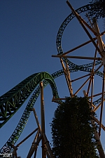 Cheetah Hunt