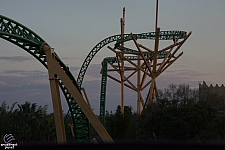 Cheetah Hunt