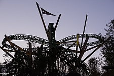 Cheetah Hunt