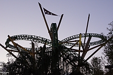 Cheetah Hunt