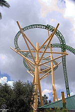 Cheetah Hunt