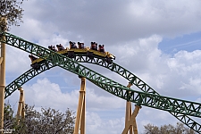 Cheetah Hunt